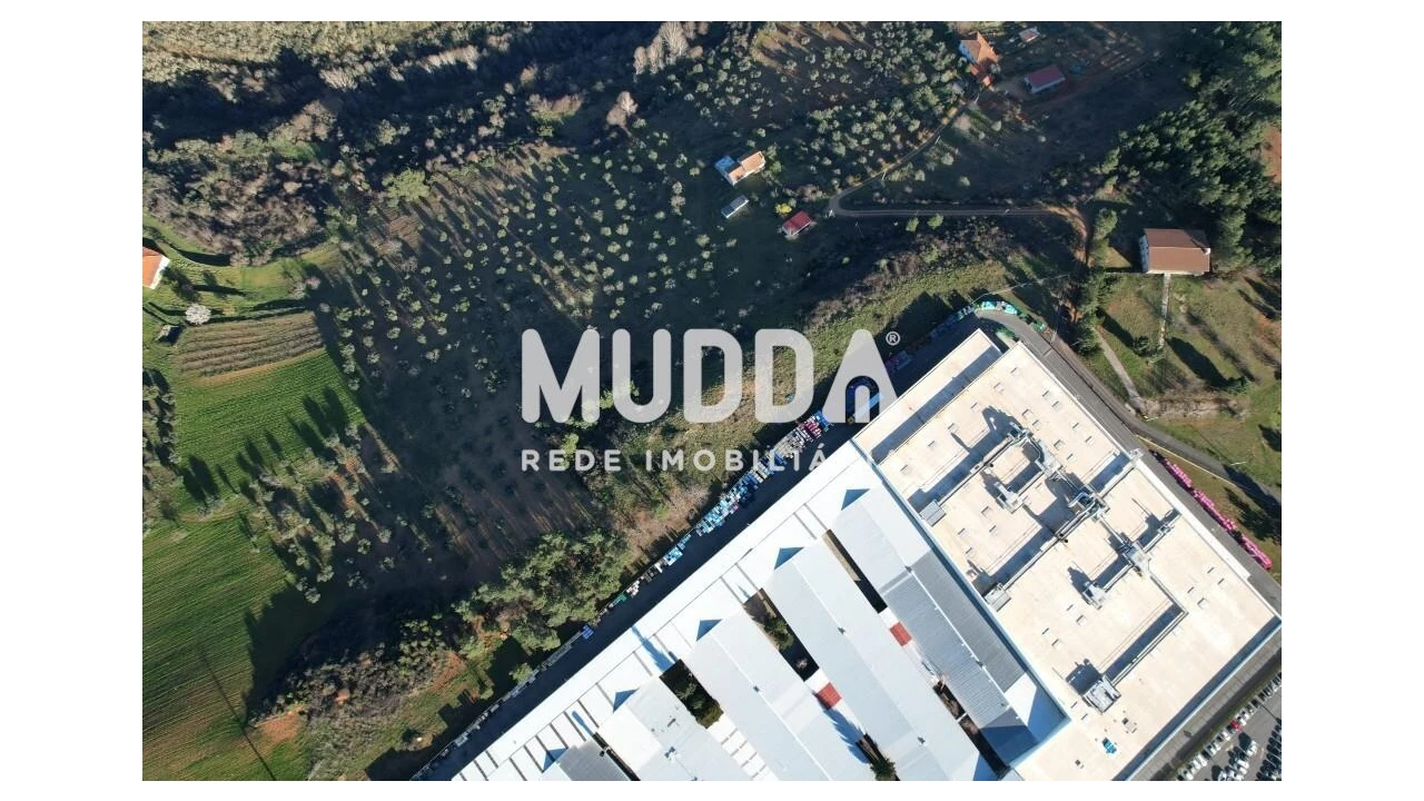 Terreno para Venda em Baçal Foto 14