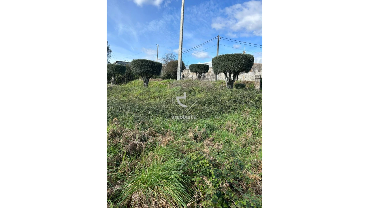 Terreno para Venda em Portela e Extremo Foto 6