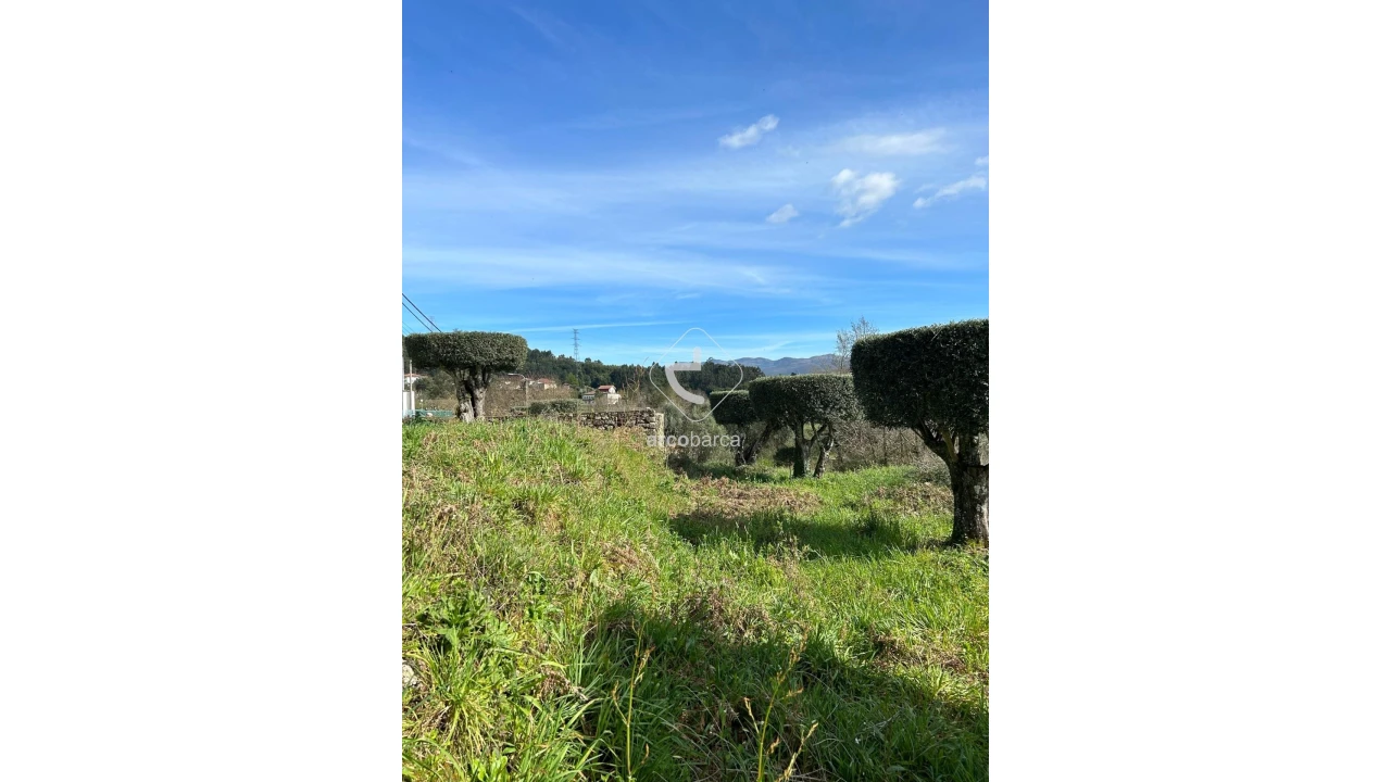 Terreno para Venda em Portela e Extremo Foto 11