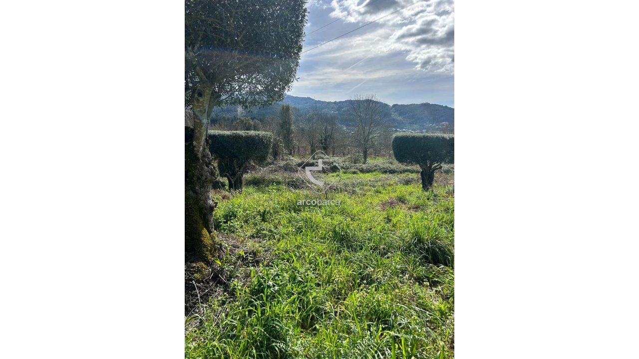Terreno para Venda em Portela e Extremo Foto 15