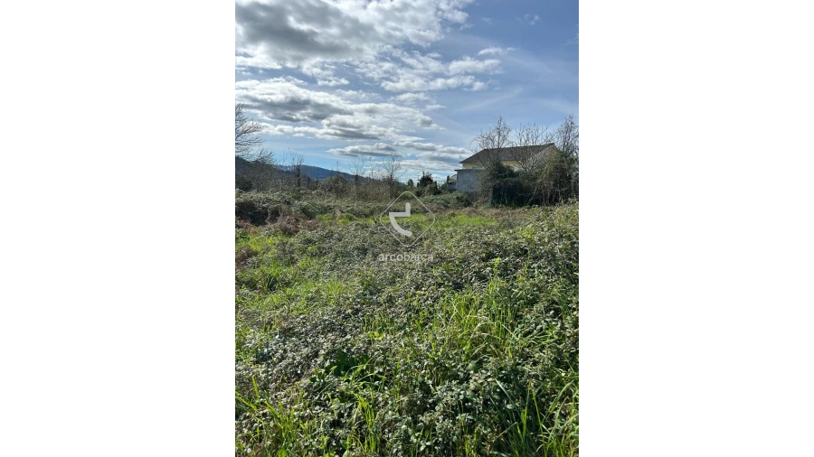 Terreno para Venda em Portela e Extremo Foto 2