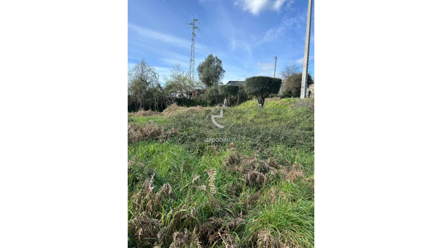 Terreno para Venda em Portela e Extremo Foto 5