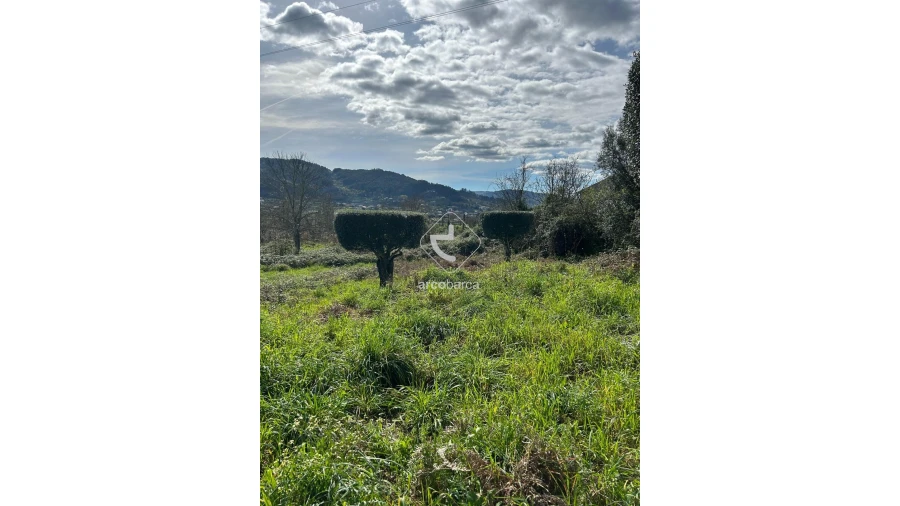 Terreno para Venda em Portela e Extremo Foto 14