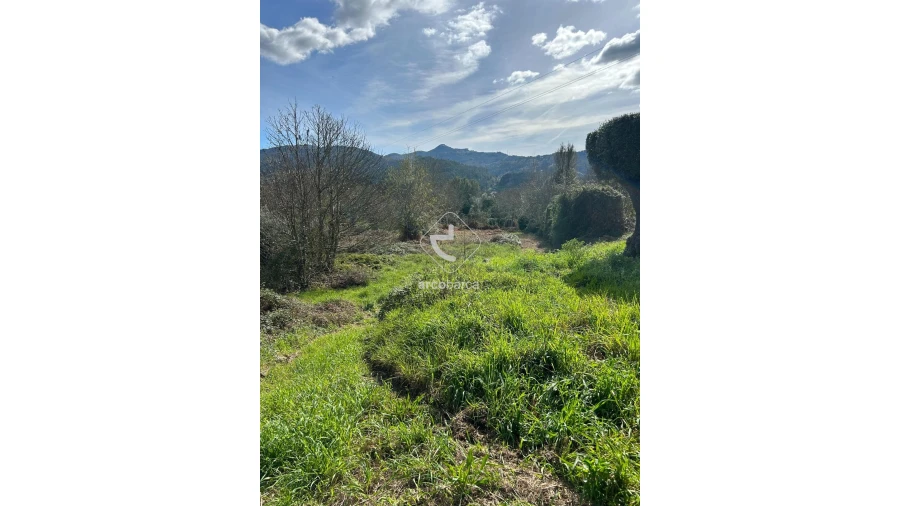 Terreno para Venda em Portela e Extremo Foto 20