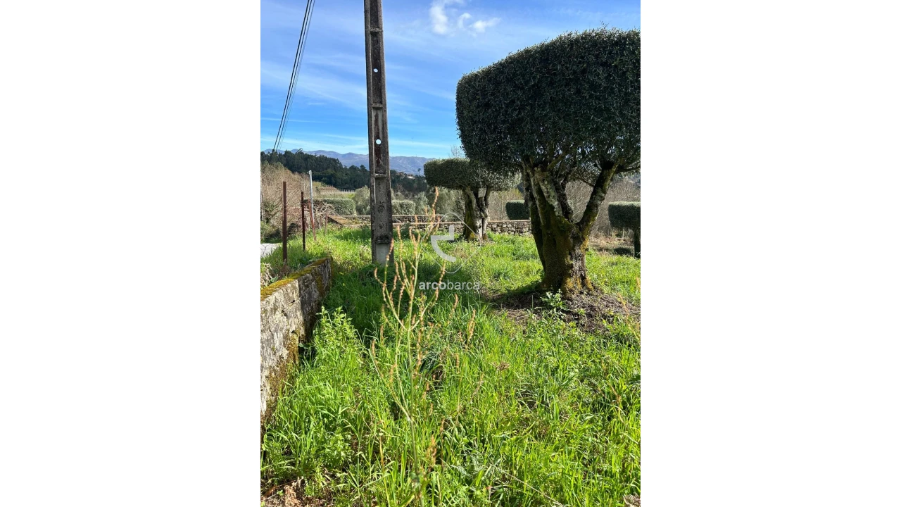 Terreno para Venda em Portela e Extremo Foto 13