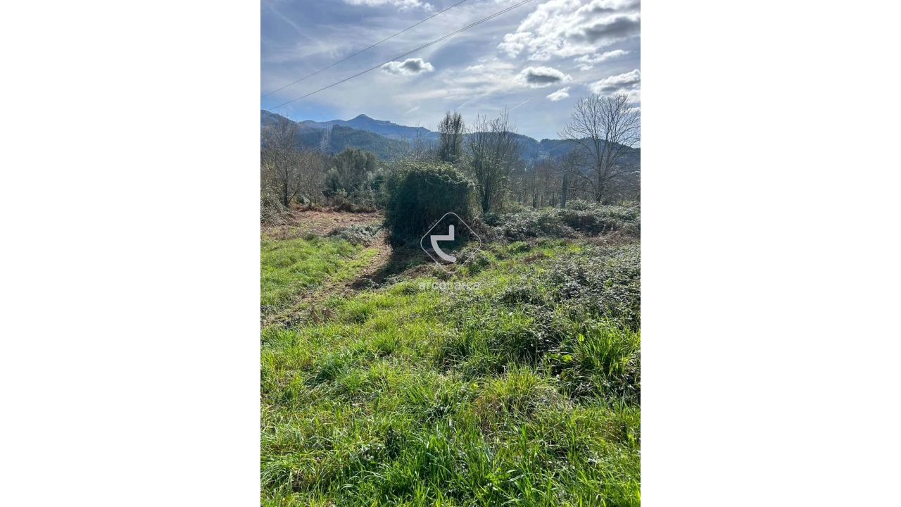 Terreno para Venda em Portela e Extremo Foto 3