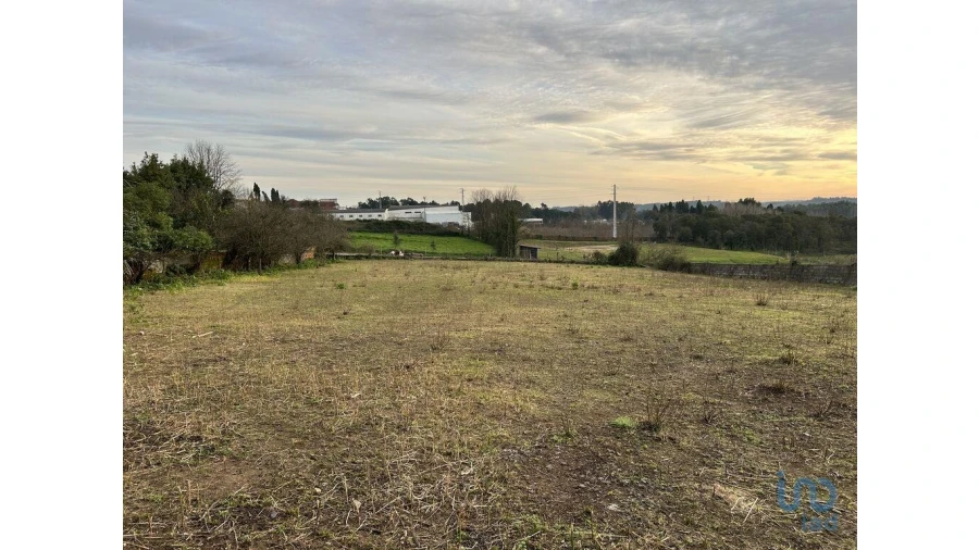 Terreno para Venda em Sangalhos