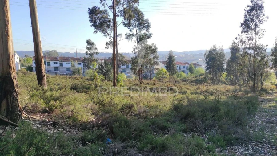 Terreno para Venda em Lousado Foto 3