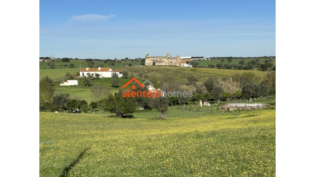 Quinta T3 para Venda em Vimieiro Foto 11