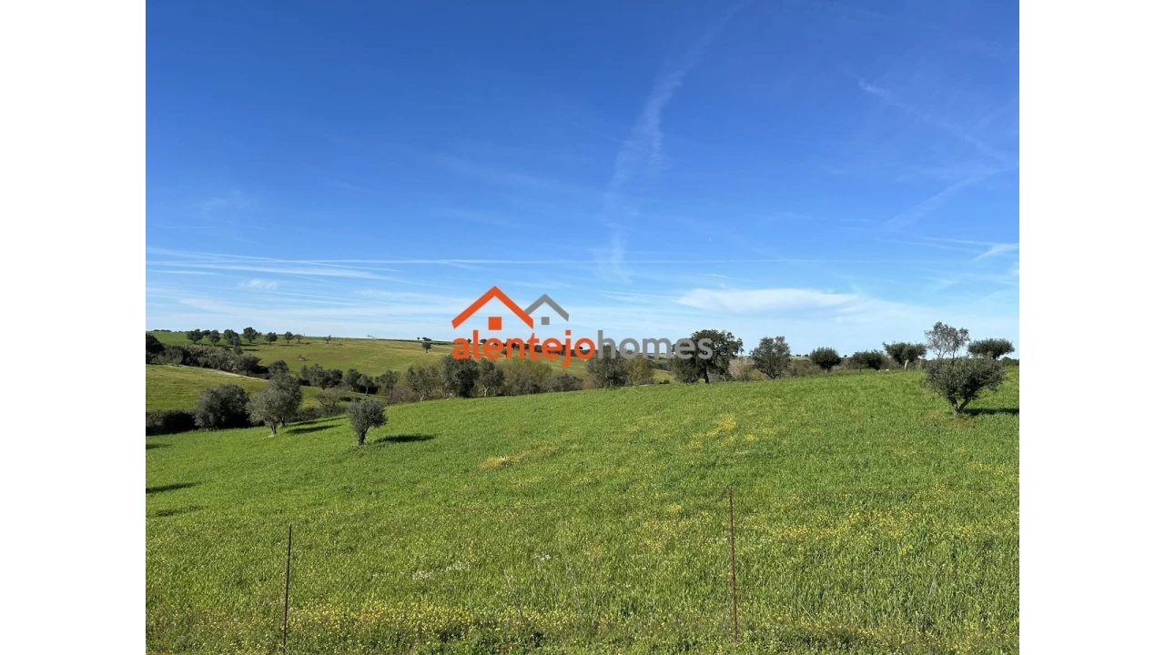 Quinta T3 para Venda em Vimieiro Foto 19