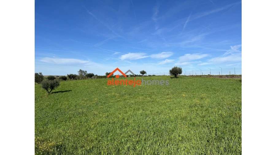 Quinta T3 para Venda em Vimieiro Foto 16