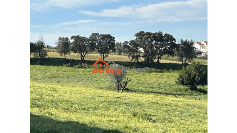 Quinta T3 para Venda em Vimieiro Foto 5