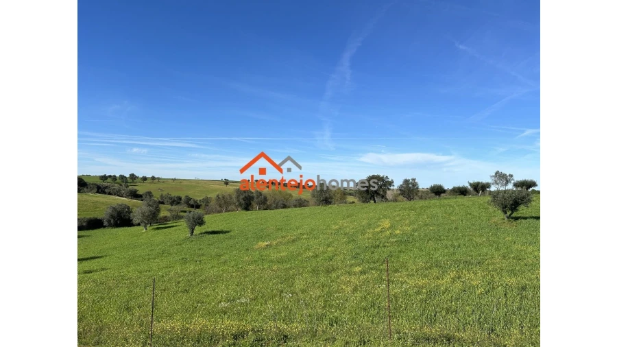 Quinta T3 para Venda em Vimieiro Foto 19