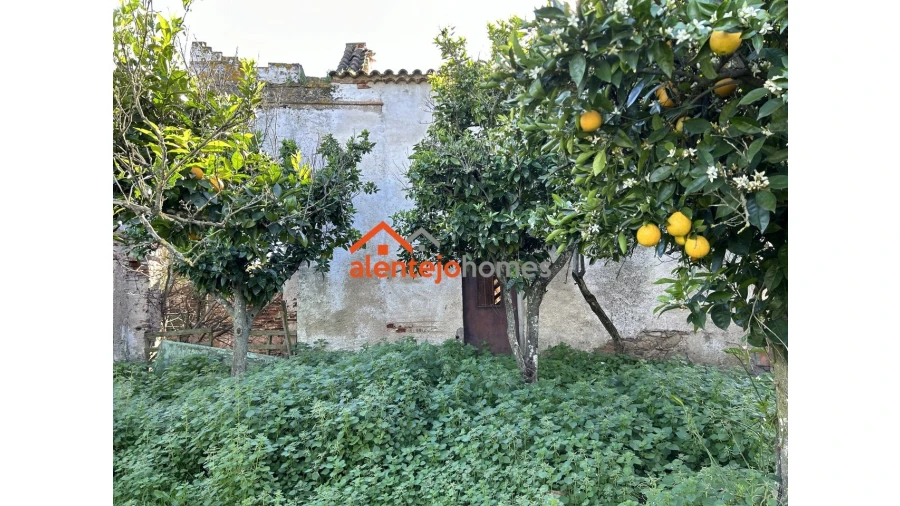 Quinta T3 para Venda em Vimieiro Foto 15