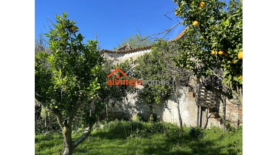 Quinta T3 para Venda em Vimieiro Foto 17