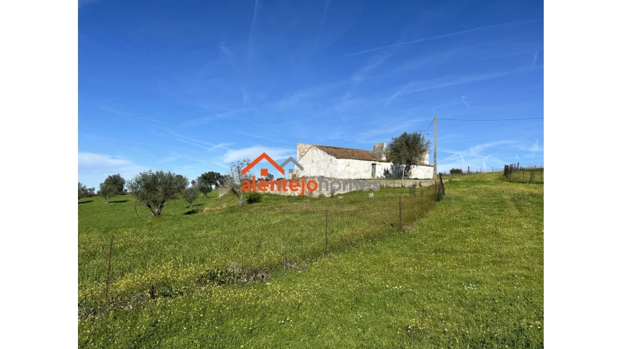 Quinta T3 para Venda em Vimieiro Foto 4