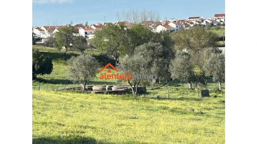 Quinta T3 para Venda em Vimieiro Foto 6