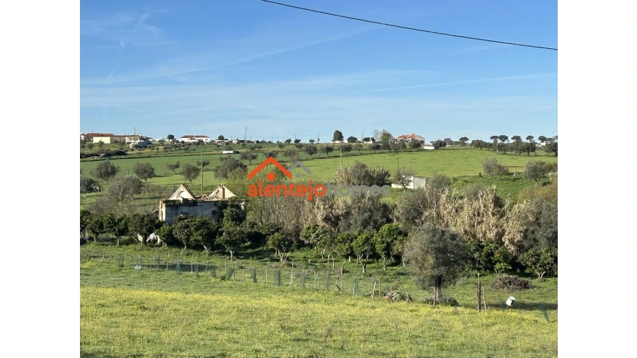 Quinta T3 para Venda em Vimieiro Foto 10