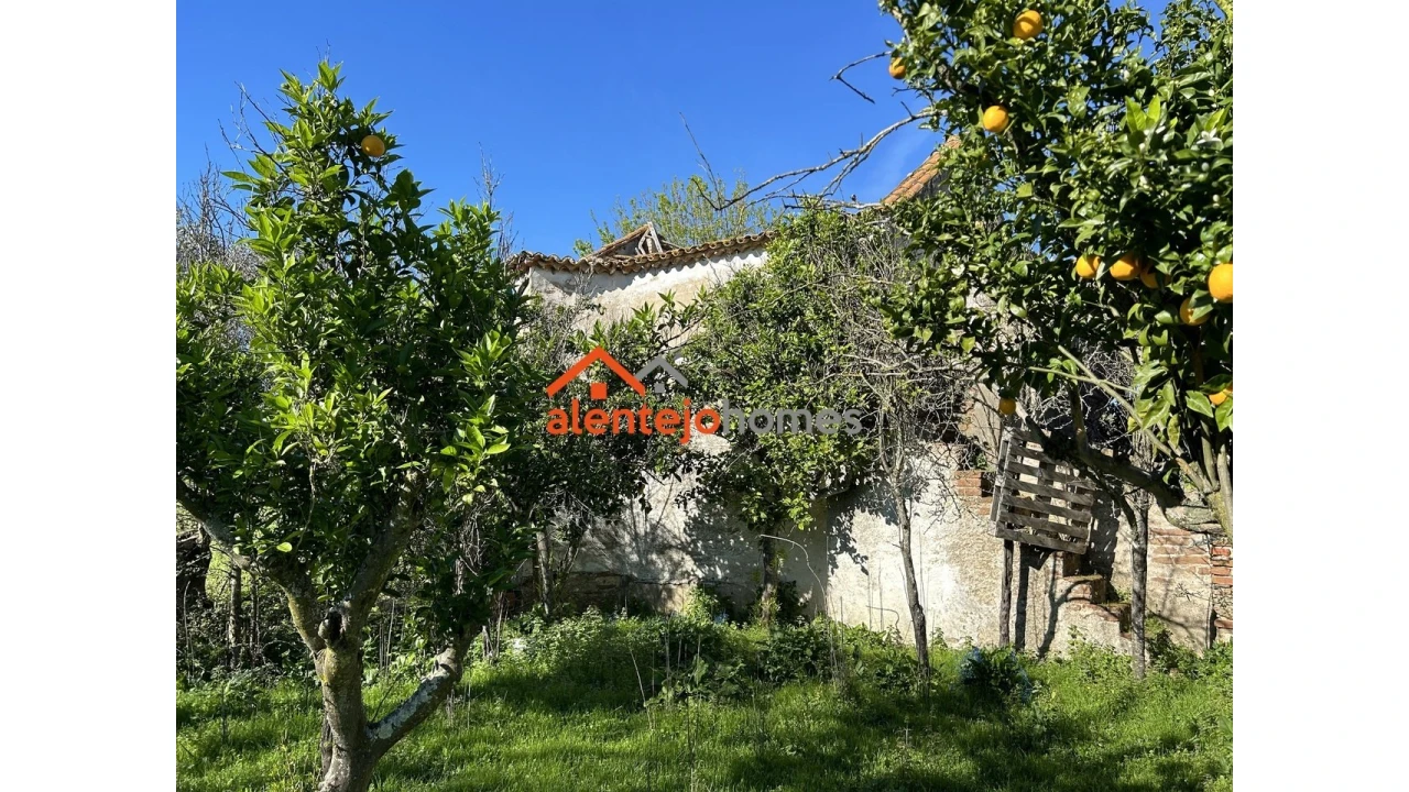 Quinta T3 para Venda em Vimieiro Foto 17