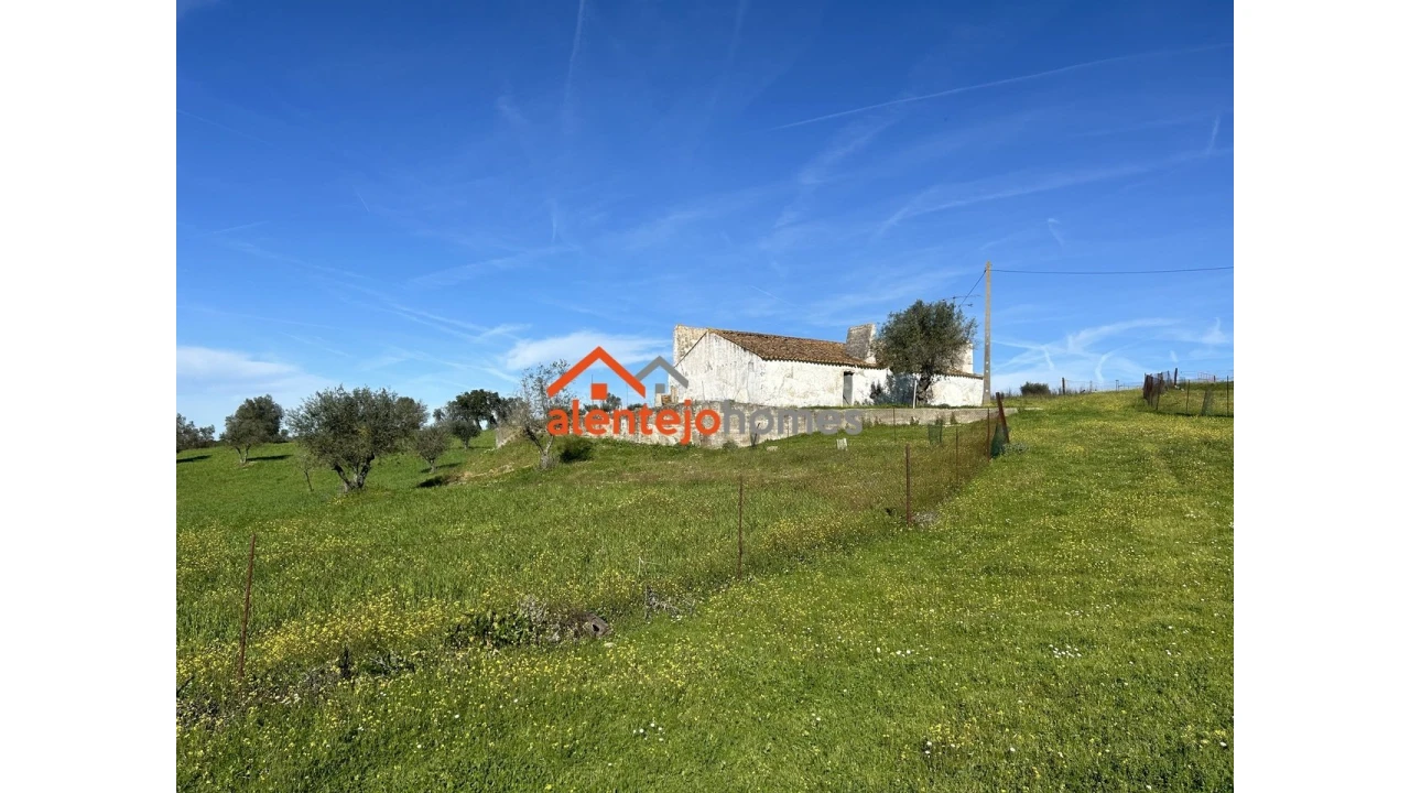 Quinta T3 para Venda em Vimieiro Foto 4