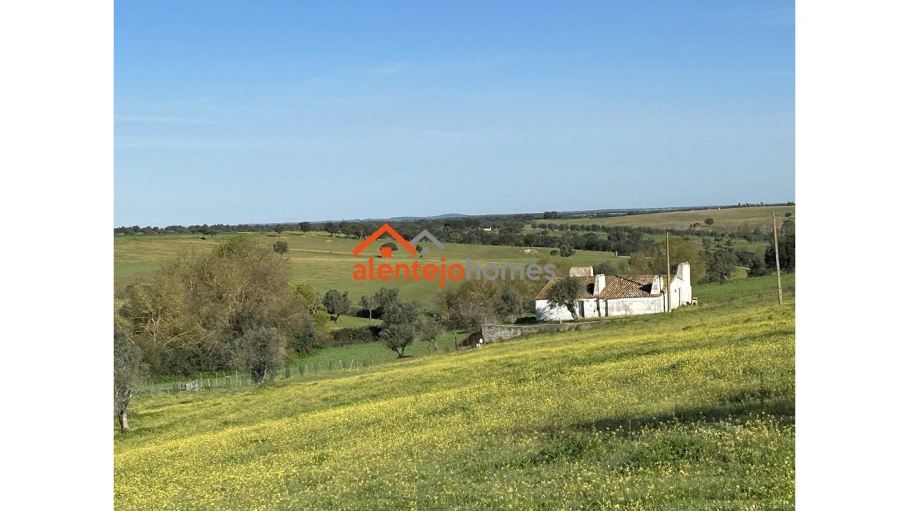 Quinta T3 para Venda em Vimieiro Foto 2