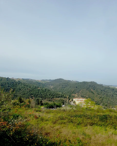 Terreno para Venda em Alenquer (Santo Estêvão e Triana)