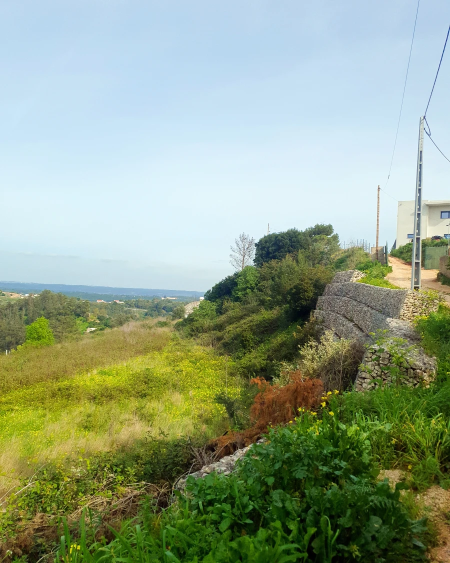 Terreno para Venda em Alenquer (Santo Estêvão e Triana) Foto 3