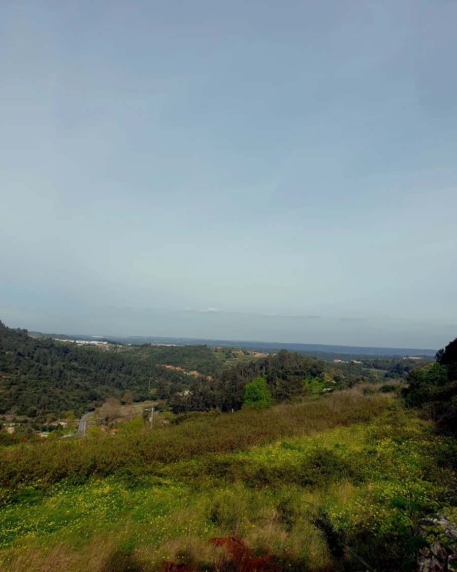 Terreno para Venda em Alenquer (Santo Estêvão e Triana) Foto 5