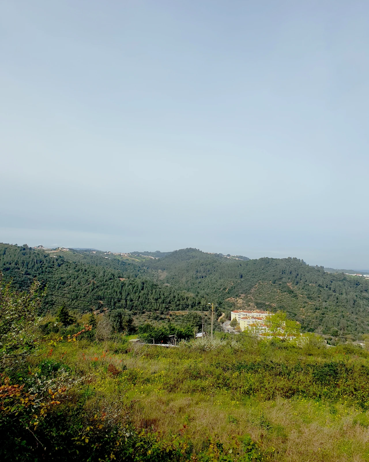 Terreno para Venda em Alenquer (Santo Estêvão e Triana) Foto 4