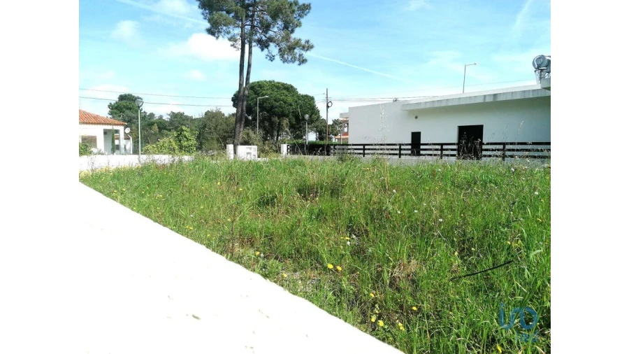 Terreno para Venda em Sesimbra (Castelo) Foto 5