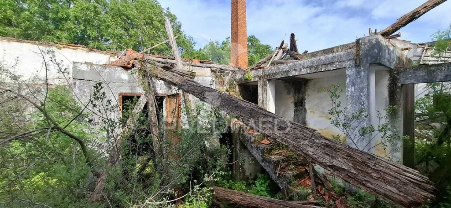 Armazém para Venda em Chancelaria Foto 20