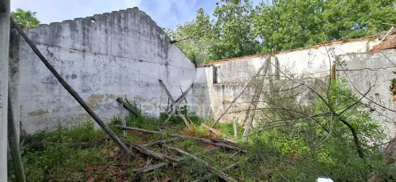 Armazém para Venda em Chancelaria Foto 15