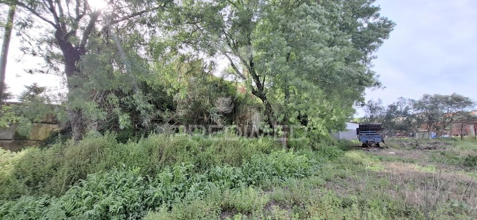 Armazém para Venda em Chancelaria Foto 6