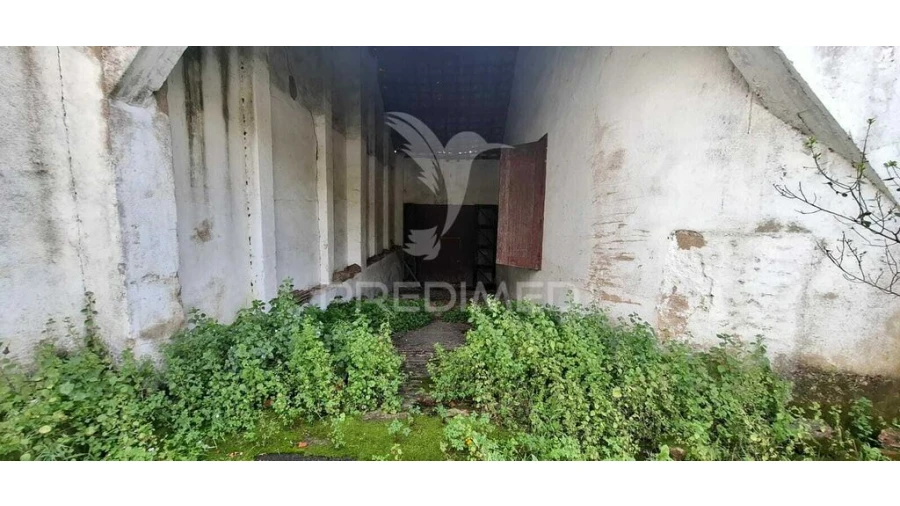 Armazém para Venda em Chancelaria Foto 19