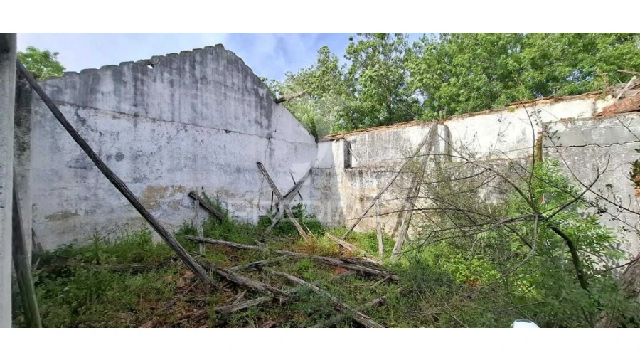 Armazém para Venda em Chancelaria Foto 15