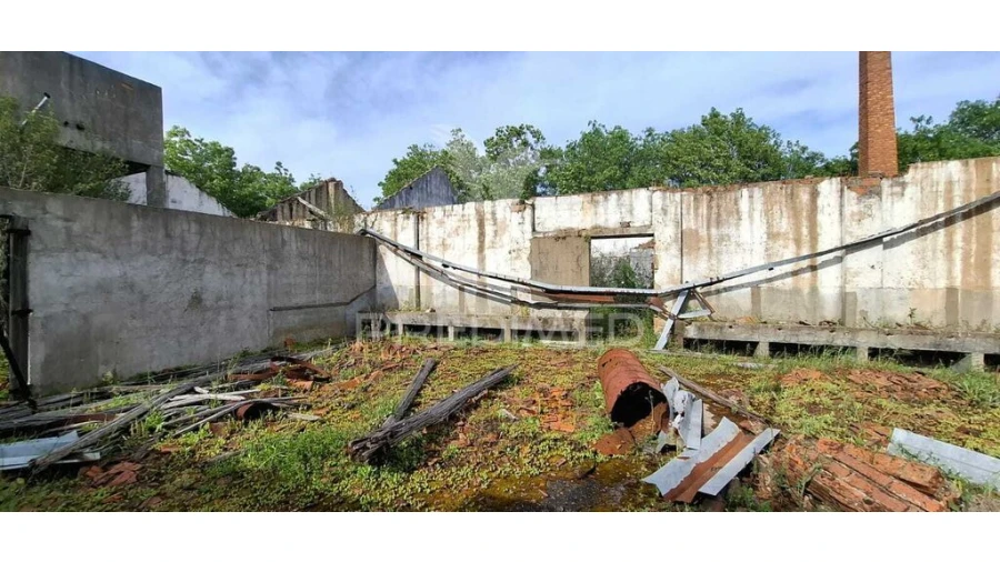 Armazém para Venda em Chancelaria Foto 16