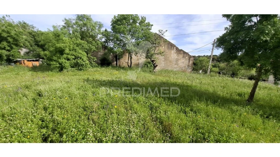 Armazém para Venda em Chancelaria Foto 5