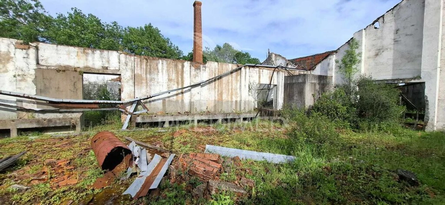 Armazém para Venda em Chancelaria Foto 17