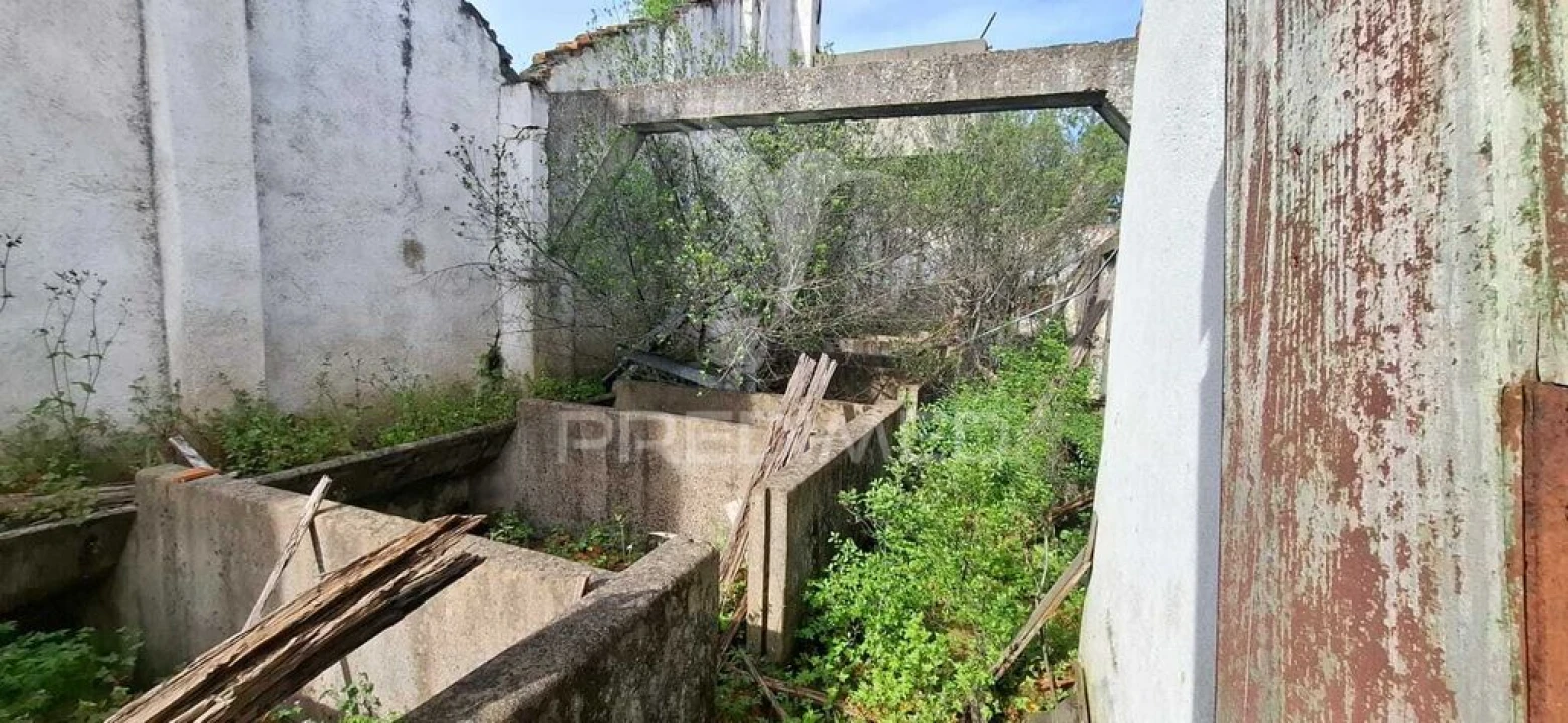 Armazém para Venda em Chancelaria Foto 14