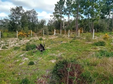 Terreno para Venda em Quinta do Anjo