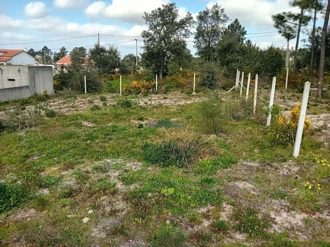 Terreno para Venda em Quinta do Anjo Foto 5