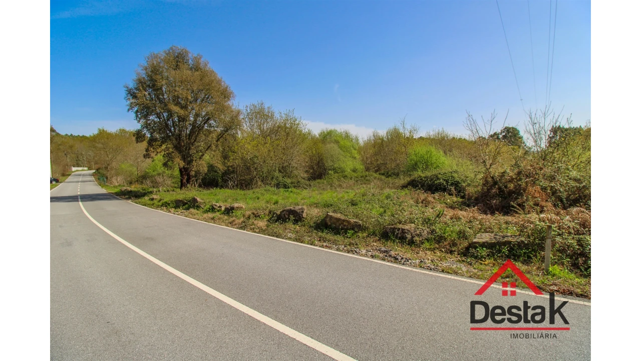 Terreno Agricola ou Rústico para Venda em Ribafeita Foto 6