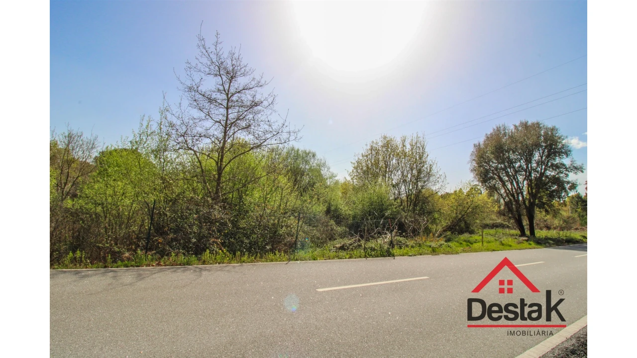 Terreno Agricola ou Rústico para Venda em Ribafeita Foto 4