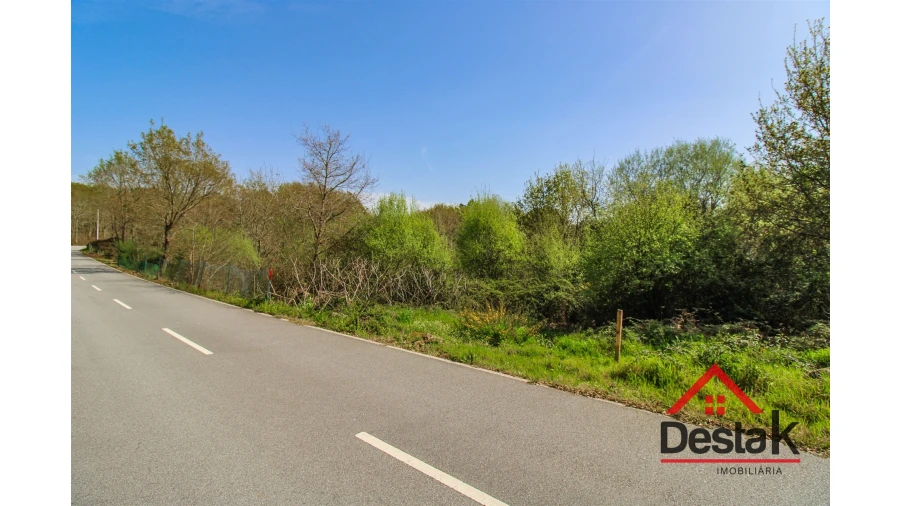 Terreno Agricola ou Rústico para Venda em Ribafeita Foto 8