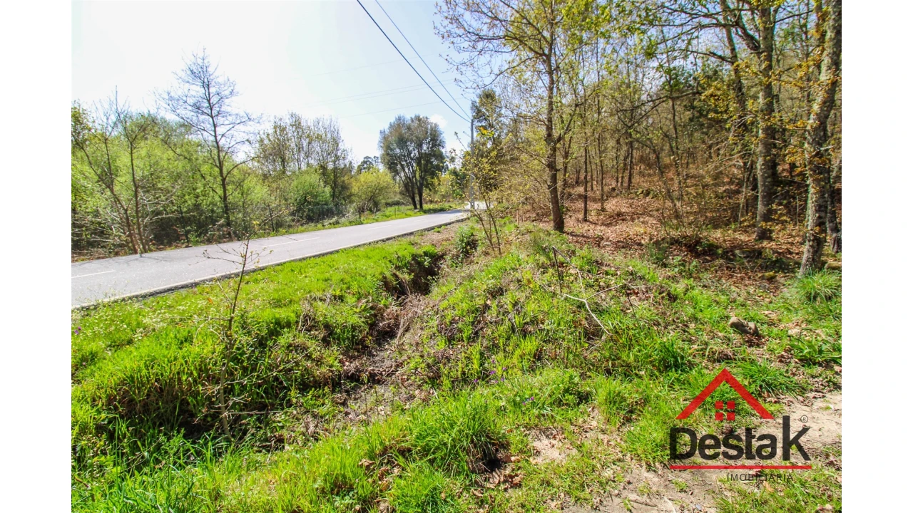 Terreno Agricola ou Rústico para Venda em Ribafeita Foto 4