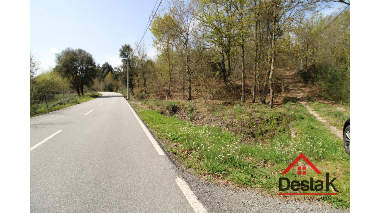 Terreno Agricola ou Rústico para Venda em Ribafeita Foto 3