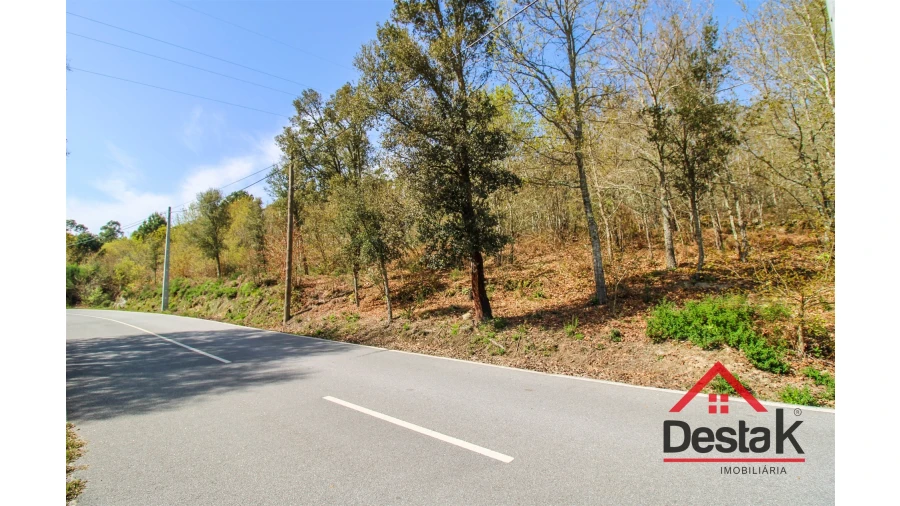 Terreno Agricola ou Rústico para Venda em Ribafeita Foto 2