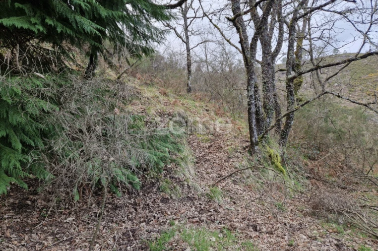 Terreno para Venda em Salto Foto 6