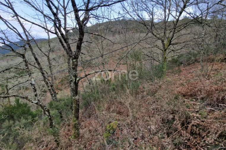 Terreno para Venda em Salto Foto 9