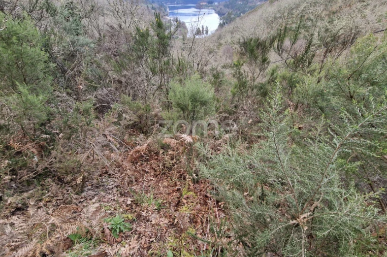 Terreno para Venda em Salto Foto 12